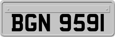 BGN9591