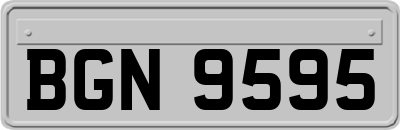 BGN9595