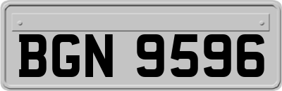 BGN9596