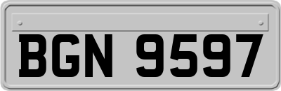 BGN9597