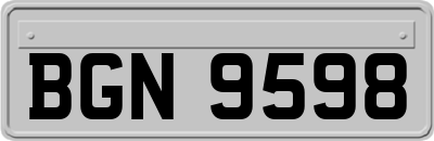 BGN9598