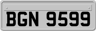 BGN9599