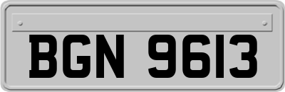 BGN9613