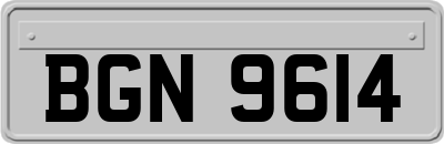BGN9614