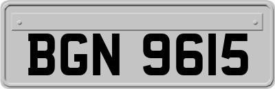 BGN9615