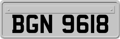 BGN9618