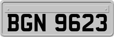 BGN9623
