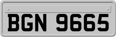 BGN9665