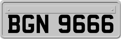 BGN9666