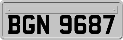 BGN9687