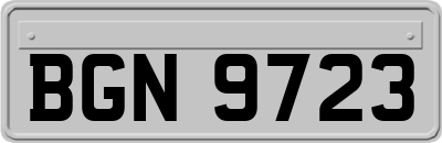 BGN9723
