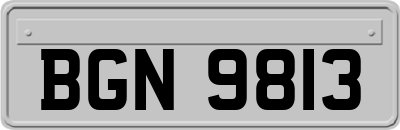 BGN9813