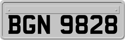 BGN9828