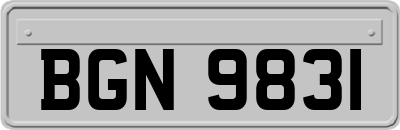 BGN9831