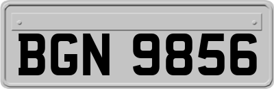 BGN9856