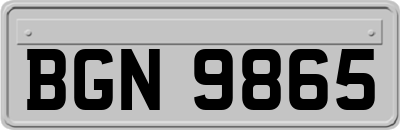 BGN9865