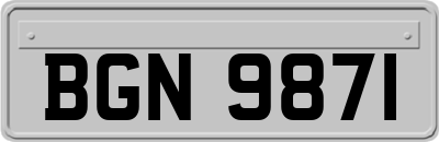 BGN9871