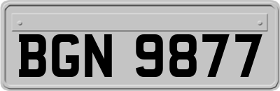BGN9877