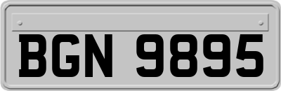 BGN9895