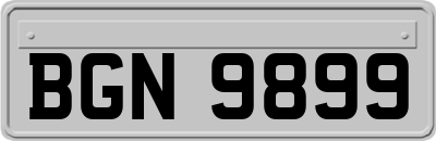 BGN9899