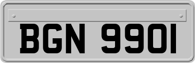 BGN9901