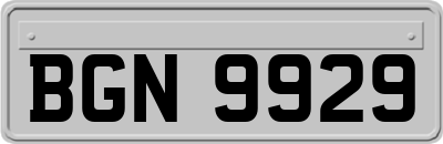 BGN9929