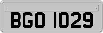 BGO1029