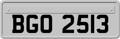 BGO2513
