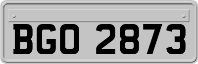 BGO2873