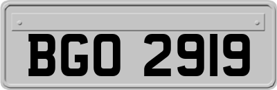 BGO2919