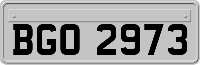 BGO2973