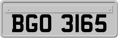 BGO3165