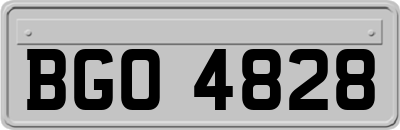 BGO4828