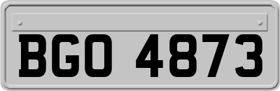 BGO4873