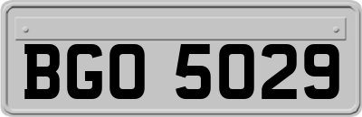 BGO5029