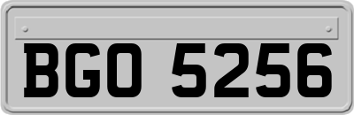 BGO5256