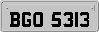 BGO5313