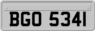 BGO5341