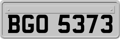 BGO5373