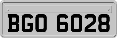 BGO6028