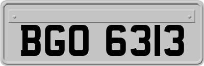 BGO6313