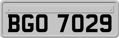 BGO7029
