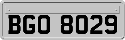 BGO8029