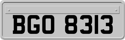 BGO8313