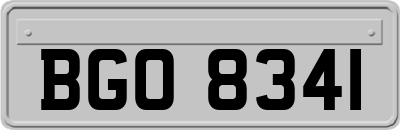 BGO8341