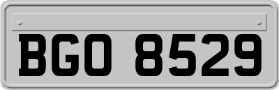 BGO8529