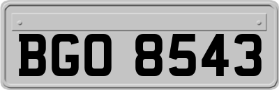 BGO8543