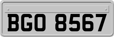BGO8567