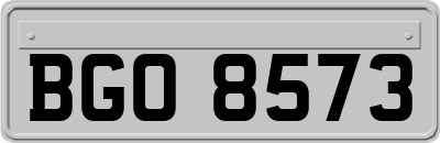 BGO8573