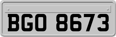 BGO8673